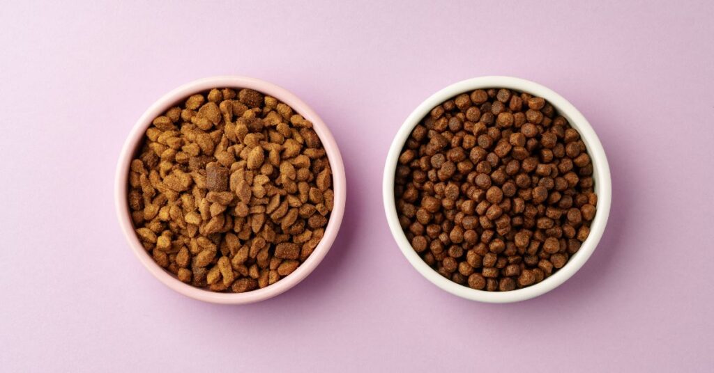 Differences between cat food and dog food