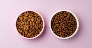 Differences Between Cat Food and Dog Food